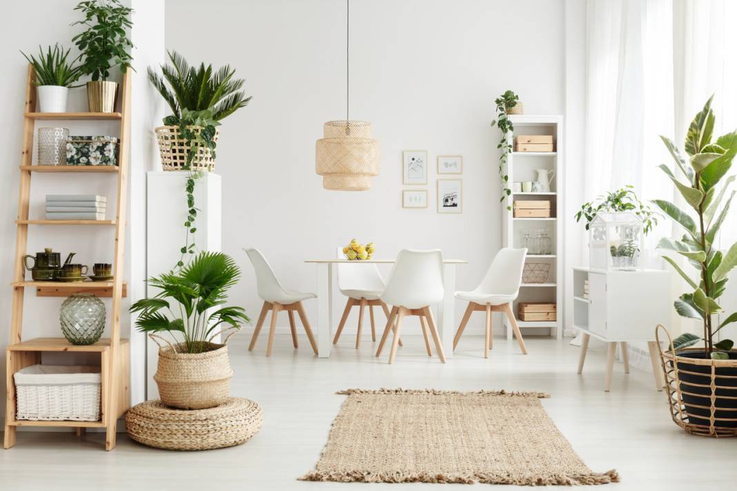 Tendências de Decoração para Apartamentos Modernos