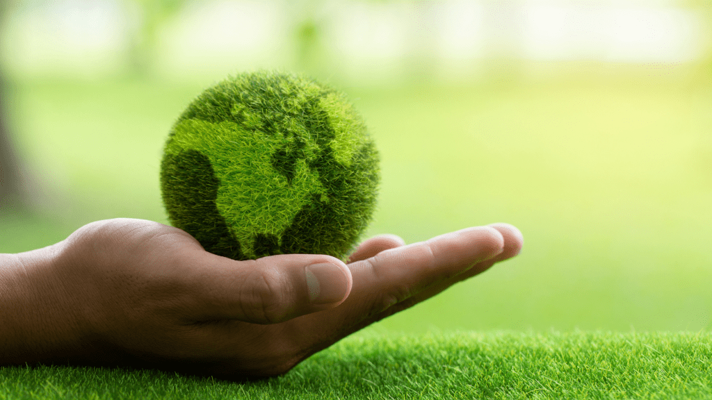 Investindo em Imóveis com Certificação Ambiental: O Que Você Precisa Saber